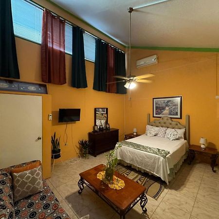 Shalom Suite 2, Manor Park Κίνγκστον Εξωτερικό φωτογραφία