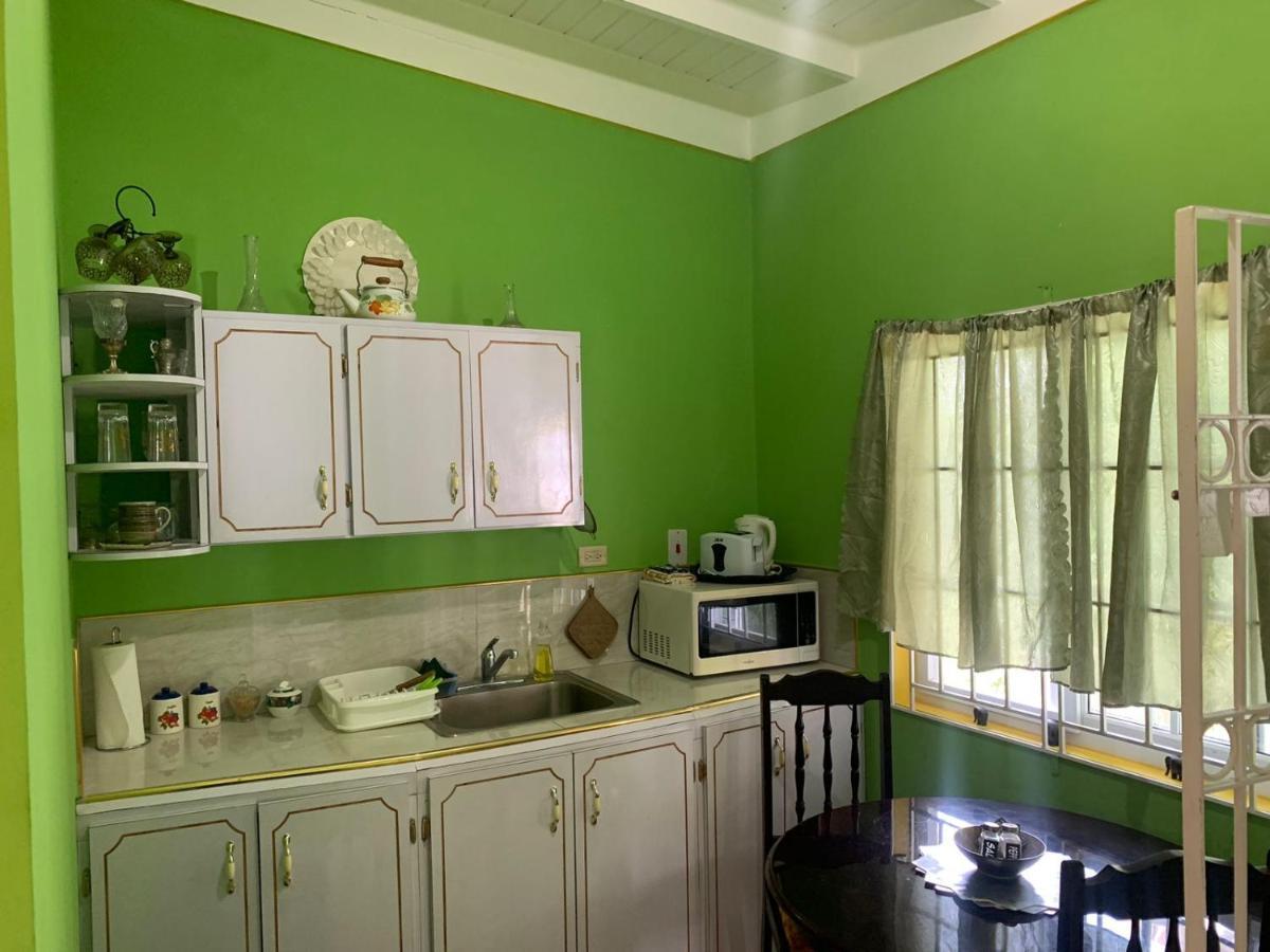 Shalom Suite 2, Manor Park Κίνγκστον Εξωτερικό φωτογραφία