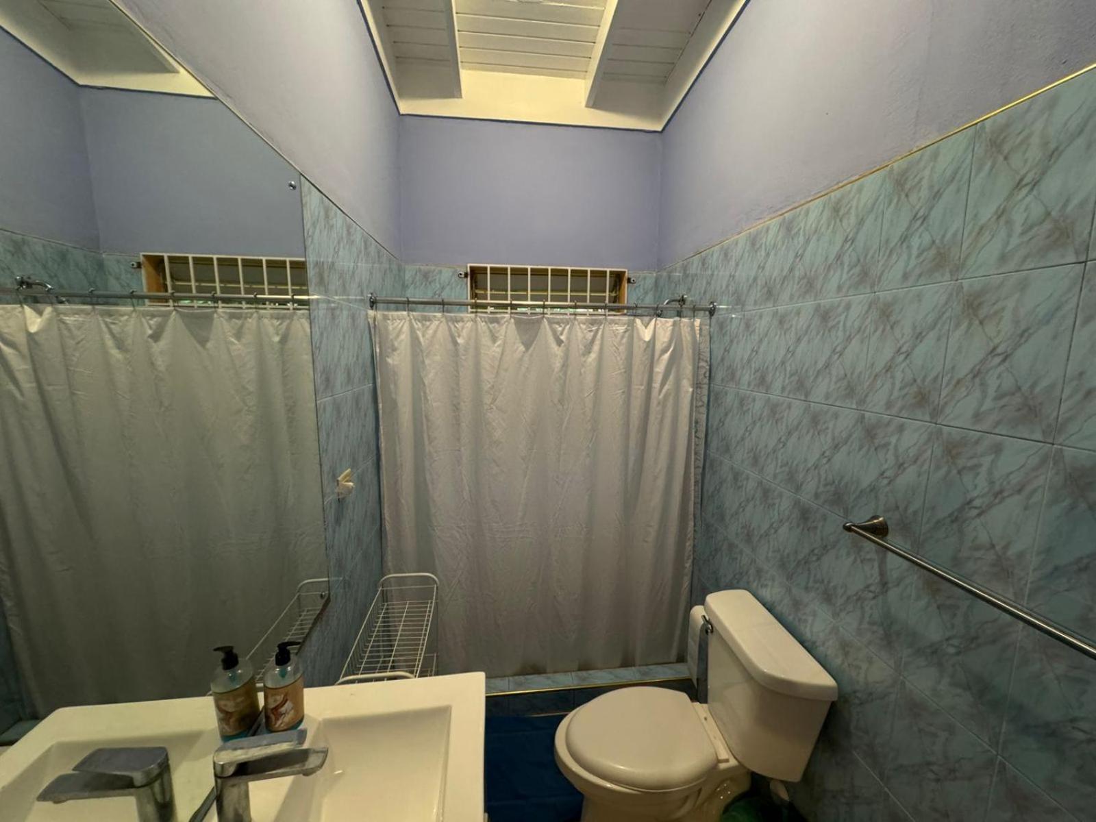 Shalom Suite 2, Manor Park Κίνγκστον Εξωτερικό φωτογραφία