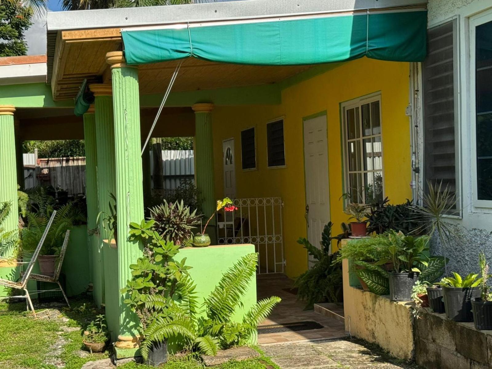 Shalom Suite 2, Manor Park Κίνγκστον Εξωτερικό φωτογραφία