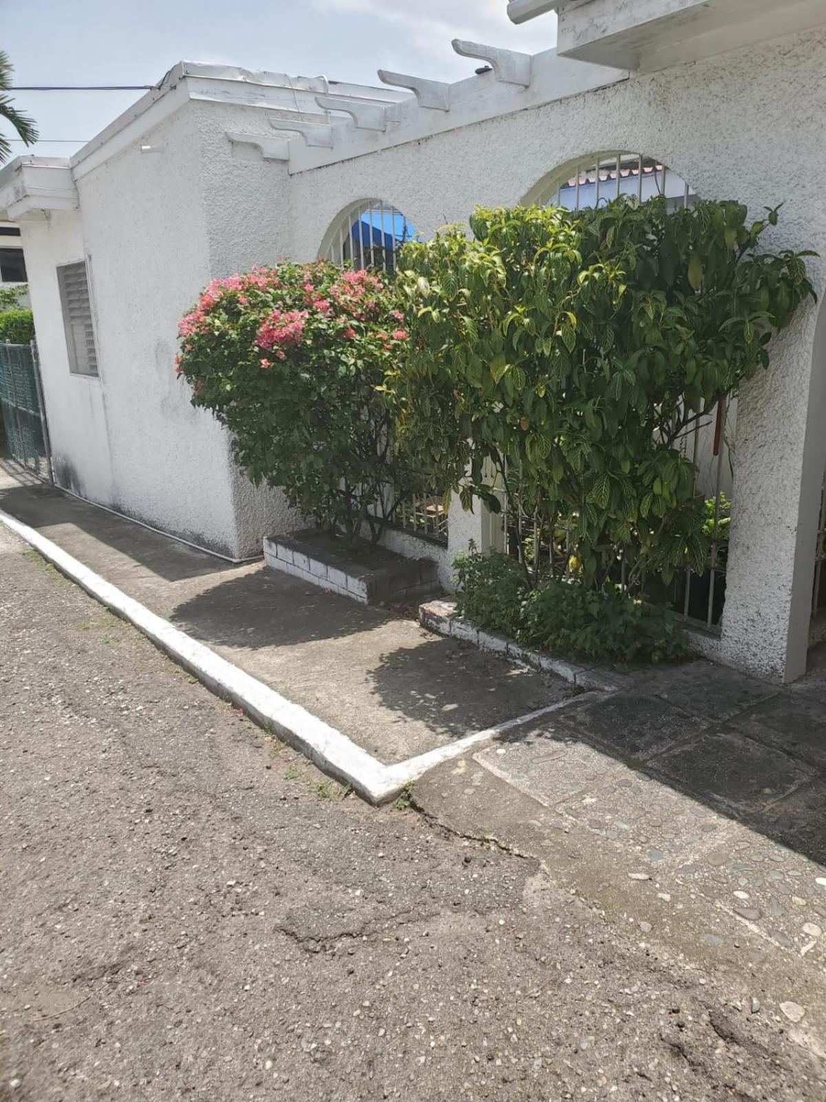 Shalom Suite 2, Manor Park Κίνγκστον Εξωτερικό φωτογραφία